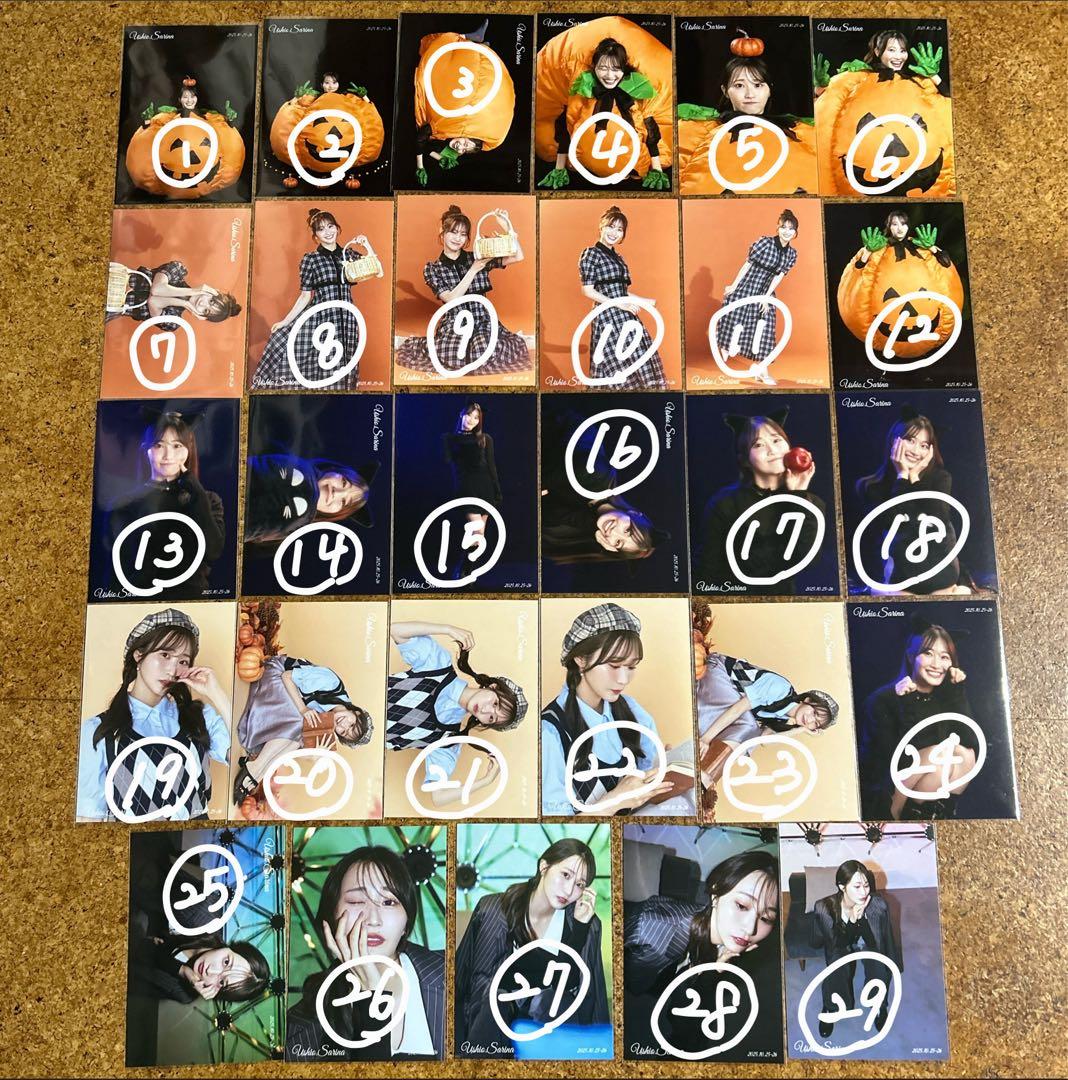 潮紗理菜　ミーサリ　生写真