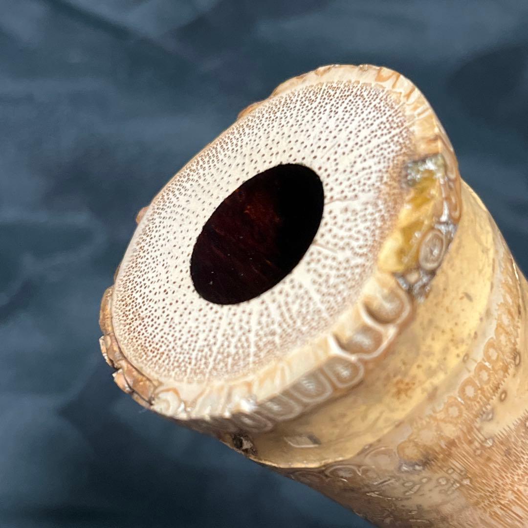 尺八 琴古流 在銘 一尺九寸管 籐巻き 金？三線 未使用品