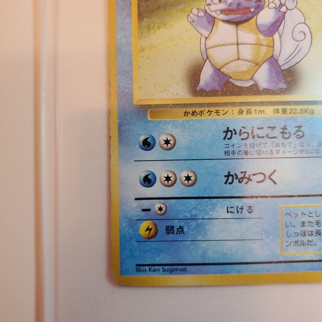 旧裏　ゼニガメ　カメール　カメックス 3枚セット　 No.009