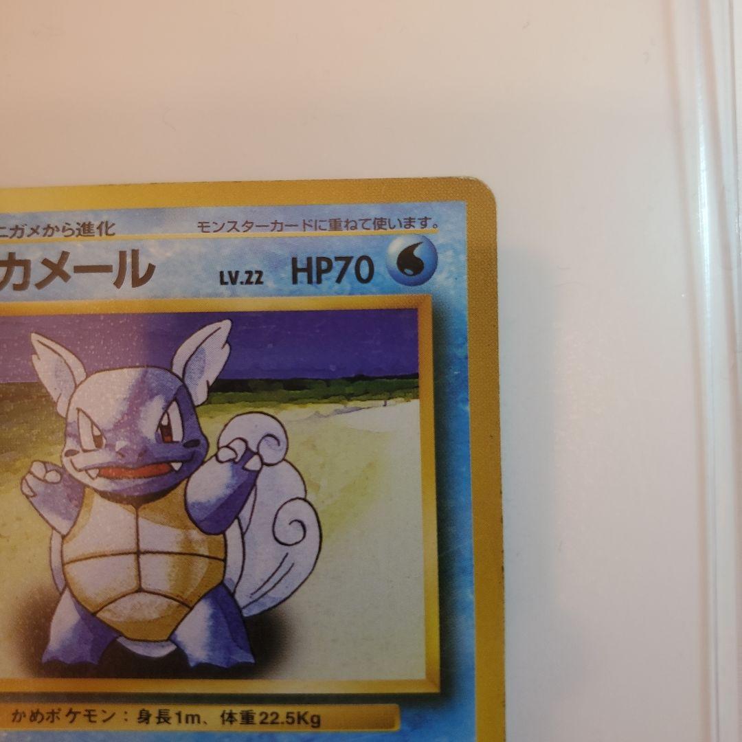 旧裏　ゼニガメ　カメール　カメックス 3枚セット　 No.009