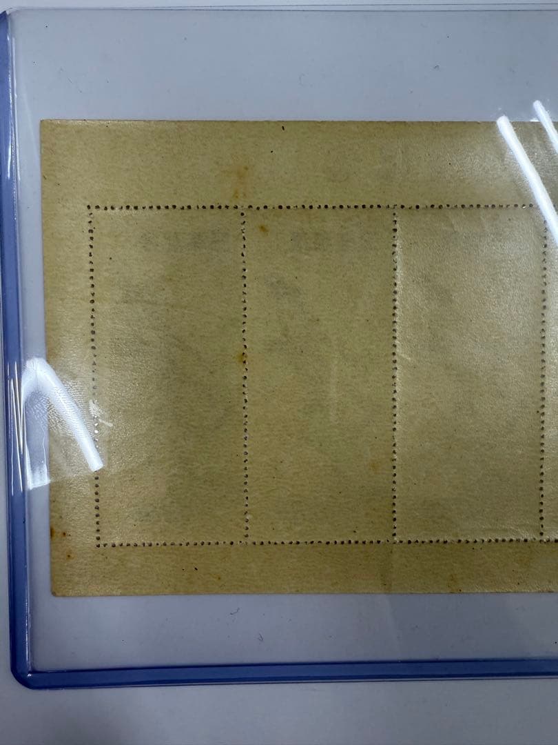 コレクション Toshi