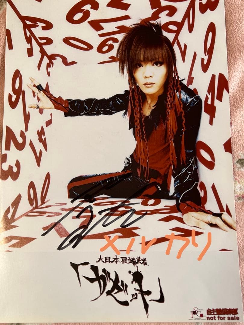 the GazettE DIM発売時当選品パネル&サイン入りポートレート非売品