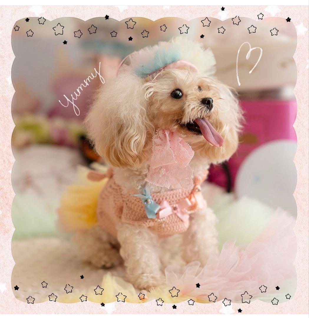 Pet a Portre (ペット ア ポルテ) La Cotton Candy