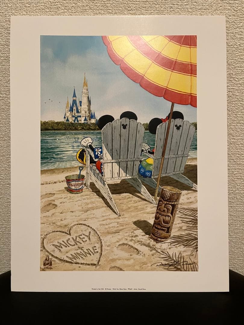 ディズニー アート　ポスター David Doss