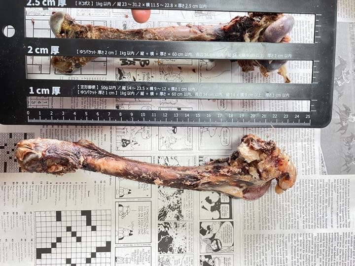 確認用　サイズの参考にしてください