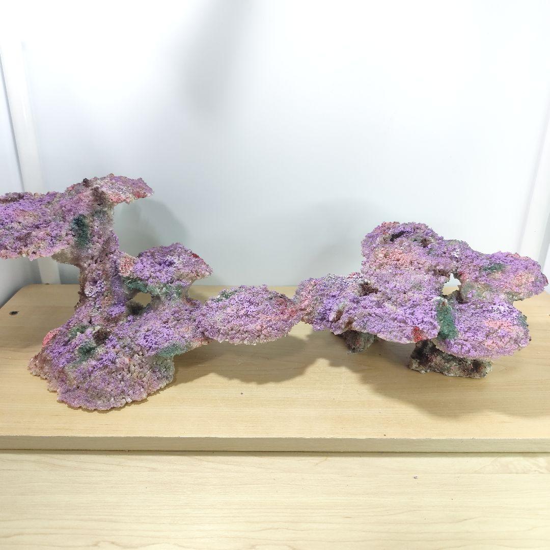 新品アク抜き不要 分離型人工ライブロック 60cm海水水槽用 レプリカ 多孔質5