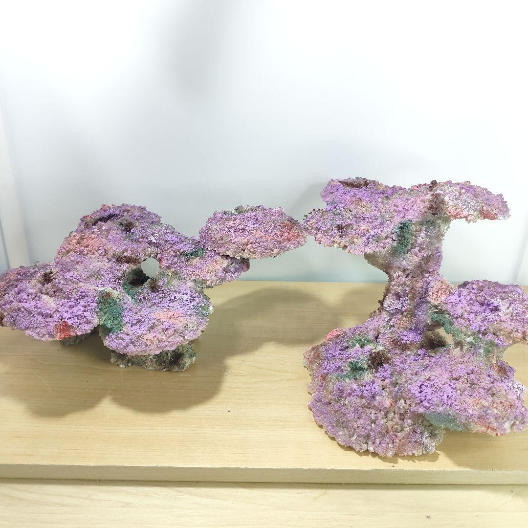 新品アク抜き不要 分離型人工ライブロック 60cm海水水槽用 レプリカ 多孔質5