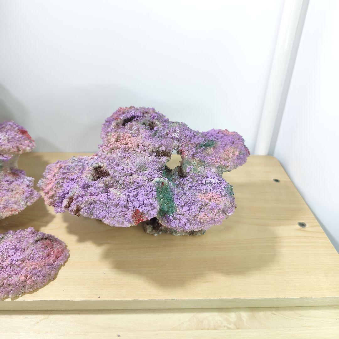 新品アク抜き不要 分離型人工ライブロック 60cm海水水槽用 レプリカ 多孔質5