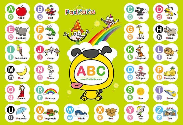 単語カード　幼児・子ども用　英語教材『PadKaKa（パッドカカ）』新品！