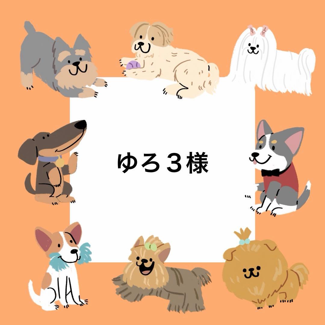 ゆろ３様