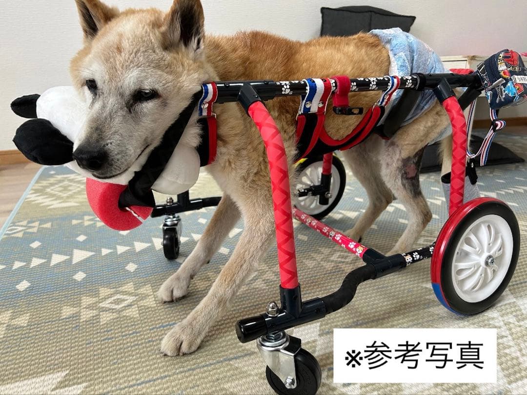 【高強度／超軽量】犬用車椅子 柴犬 四輪車
