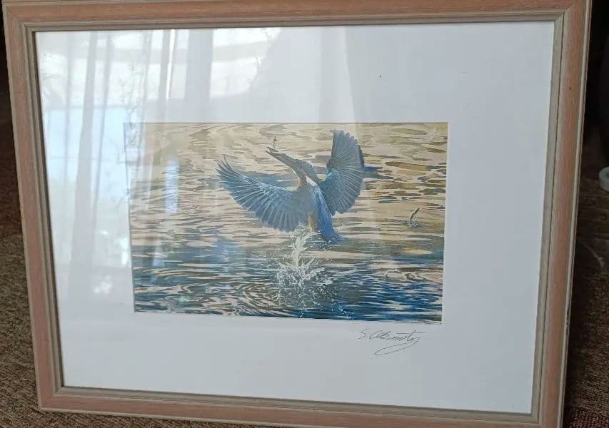 S.Okamoto カワセミハンティング 水彩画？ 版画？