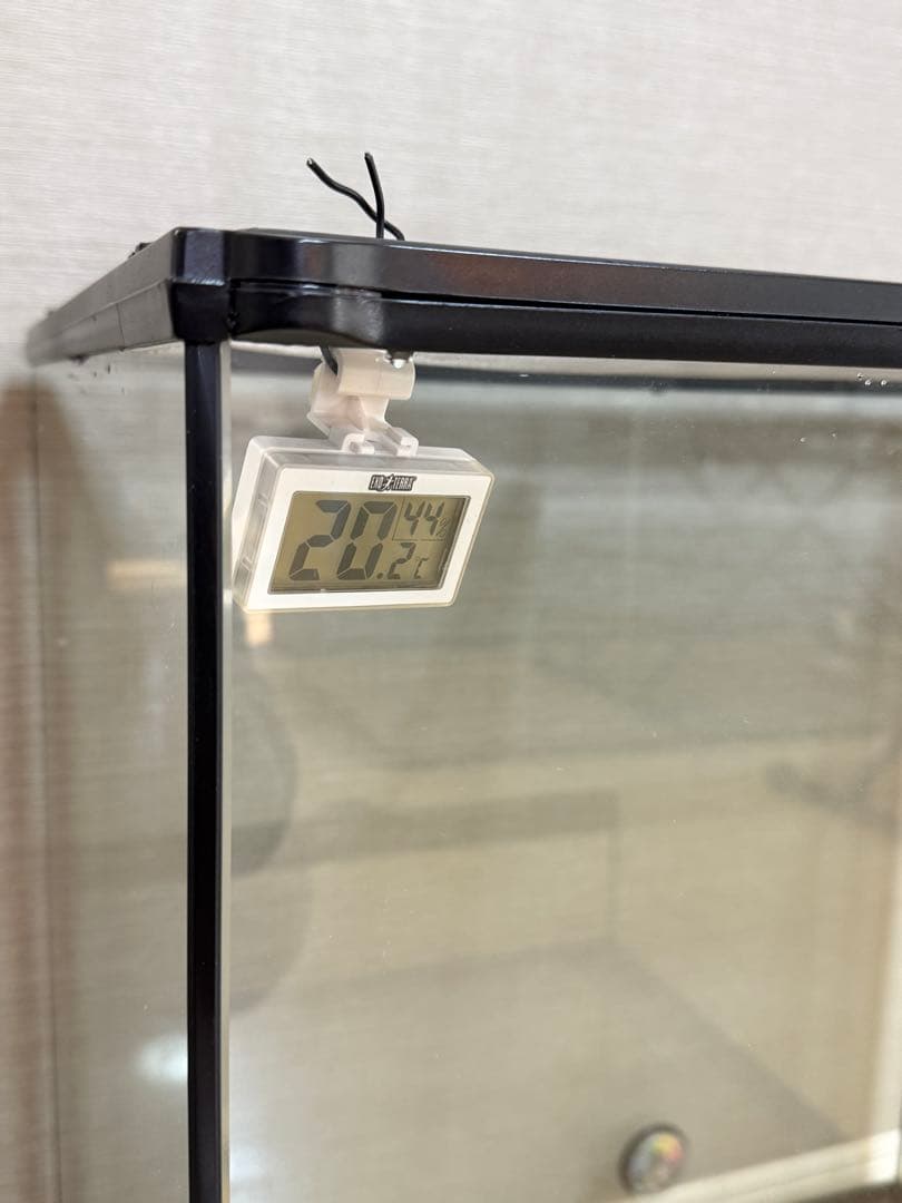 爬虫類ケージ スターターセット カメレオン フトアゴ 爬虫類