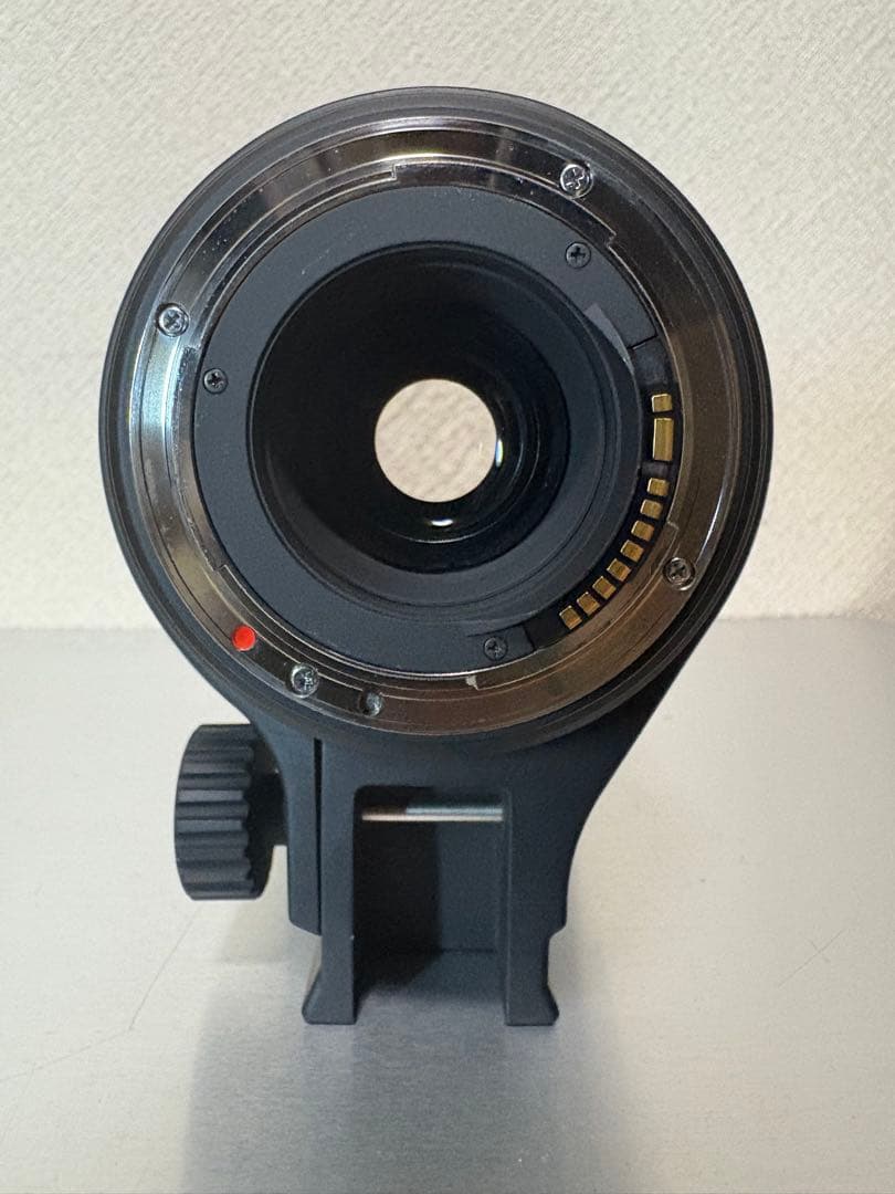 レンズ(ズーム) SIGMA APO 50-500mm F4.5-6.3 DG OS HSM