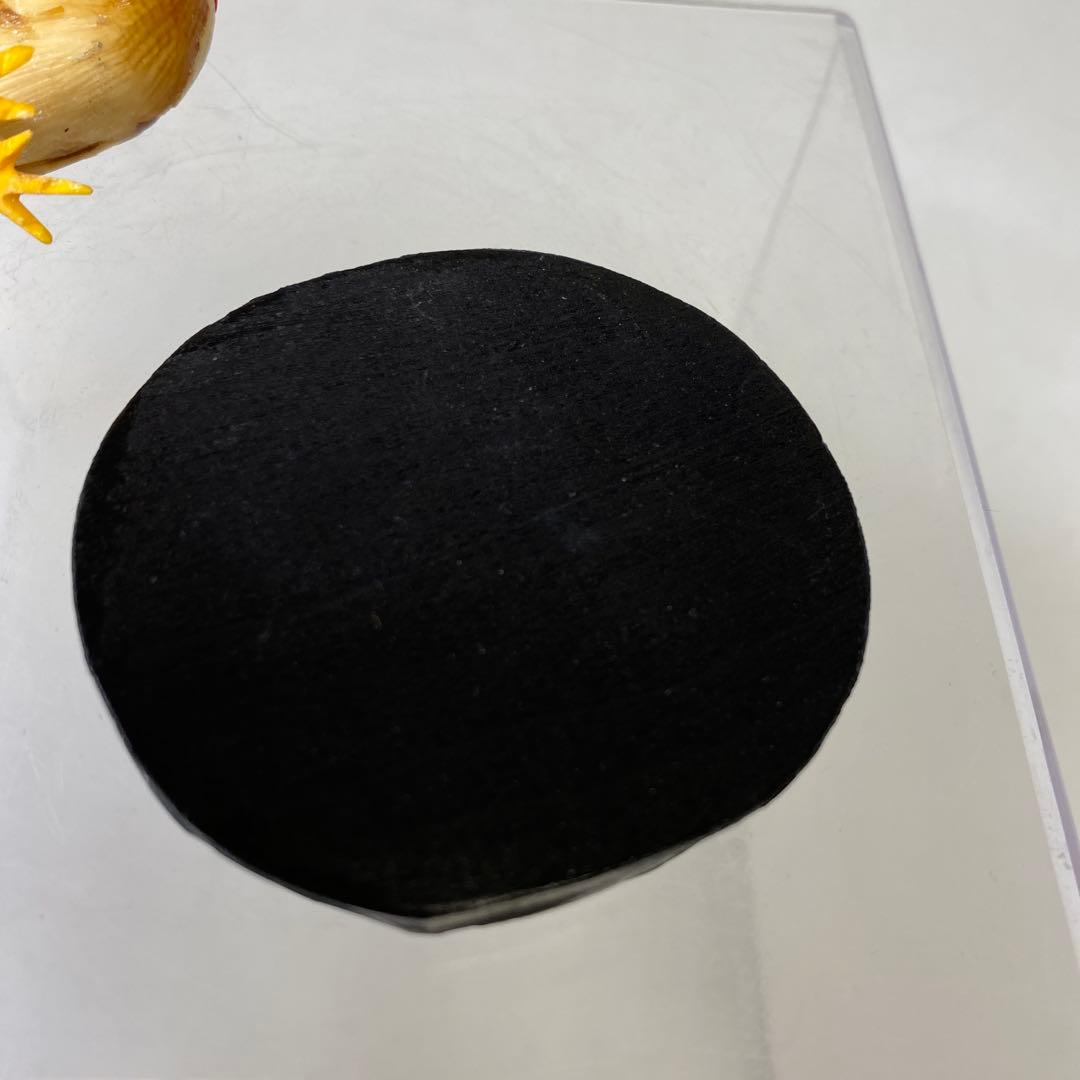 専用　光之在銘　極上　鶏　16g 東さ8-0104☆2F