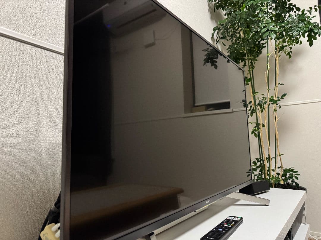 即購入不可 Sony BRAVIA 大画面液晶テレビ