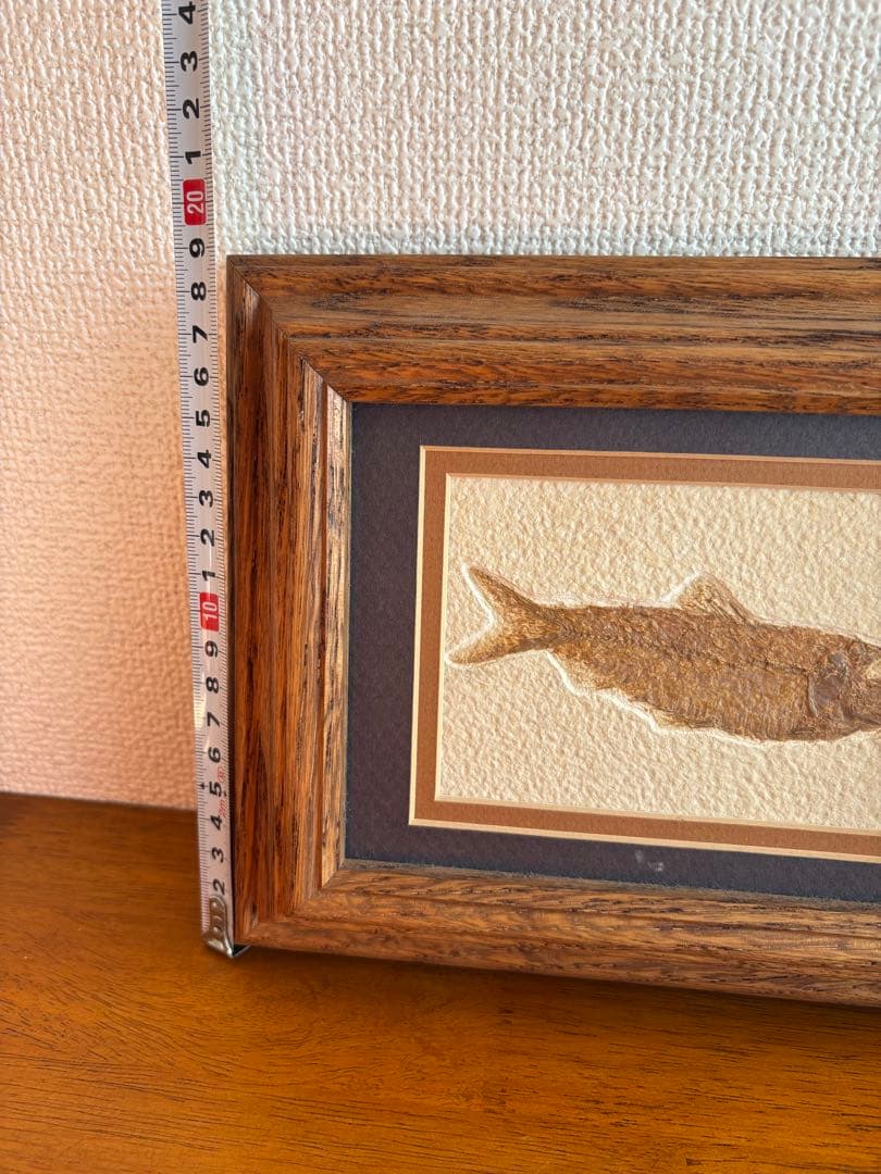 魚の化石 額装標本 インテリアオブジェ