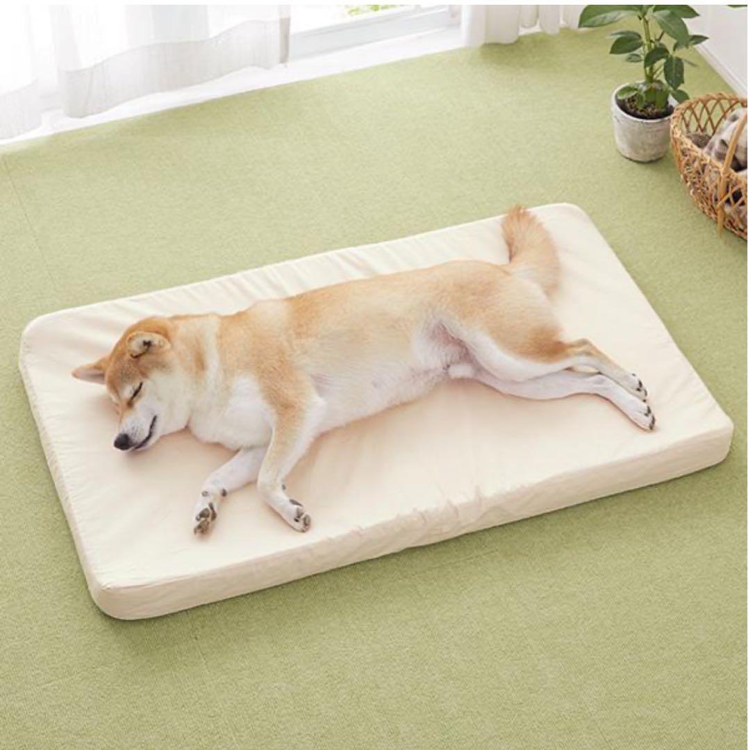 PEPPY アルテア 体圧分散マット 老犬 シニアベッド Lサイズ