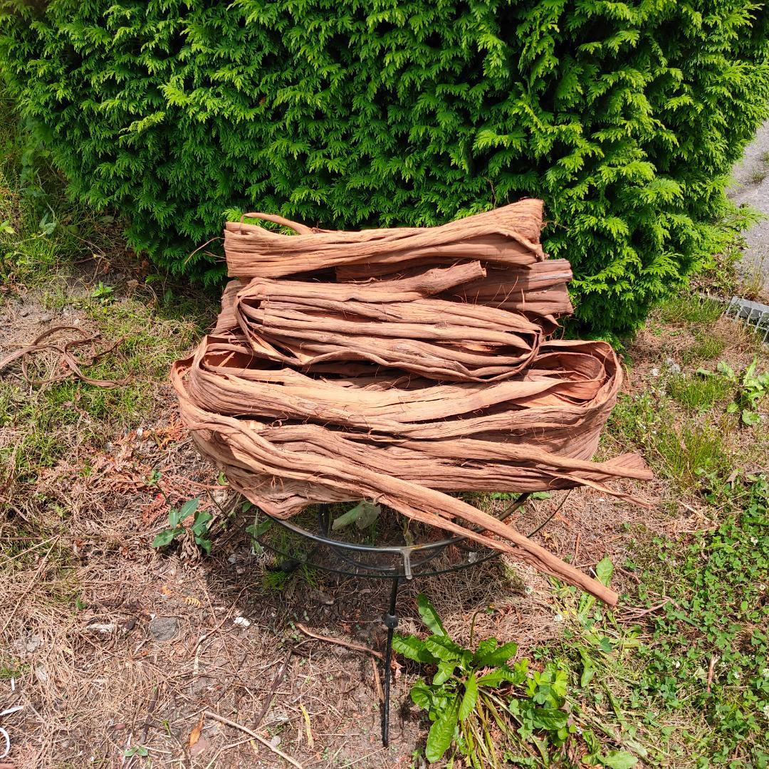 青森岩木山産 山葡萄 皮 樹皮 約3kg B品