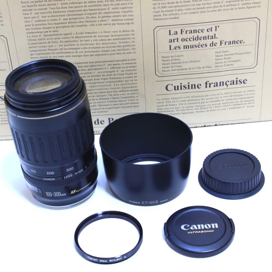 ◇レンズフィルター&フード付&高速AF◇美品 Canon純正 超望遠300mm◇