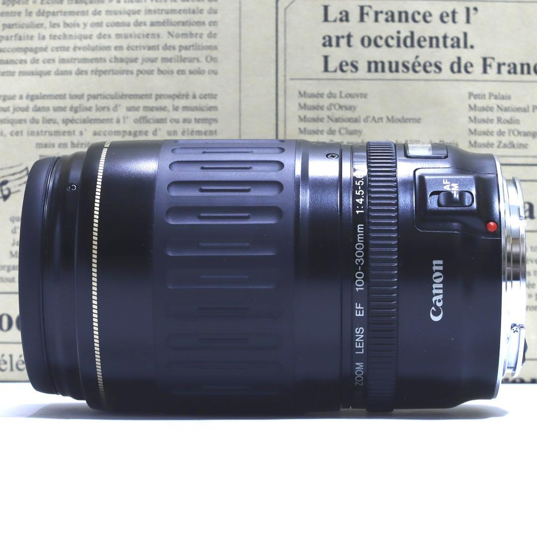 ◇レンズフィルター&フード付&高速AF◇美品 Canon純正 超望遠300mm◇