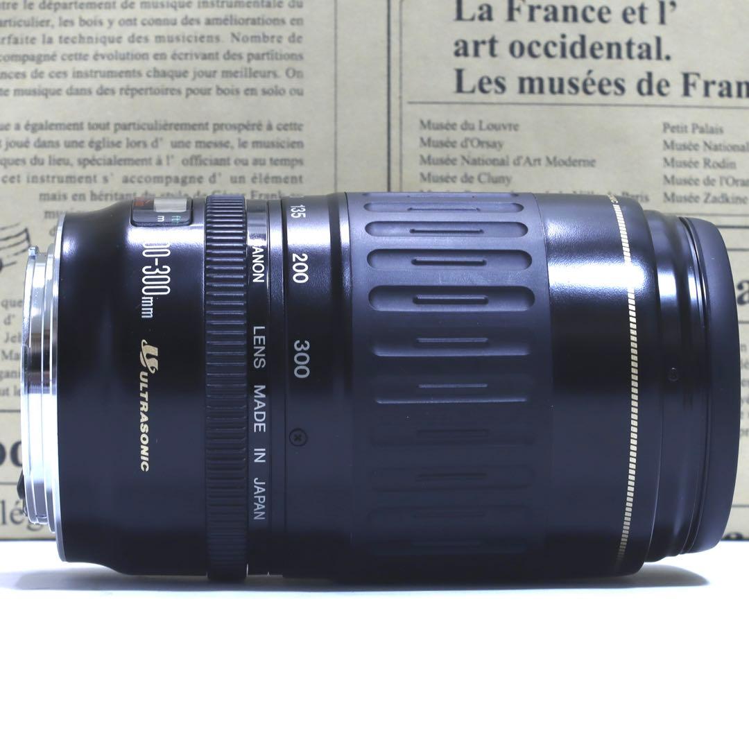◇レンズフィルター&フード付&高速AF◇美品 Canon純正 超望遠300mm◇