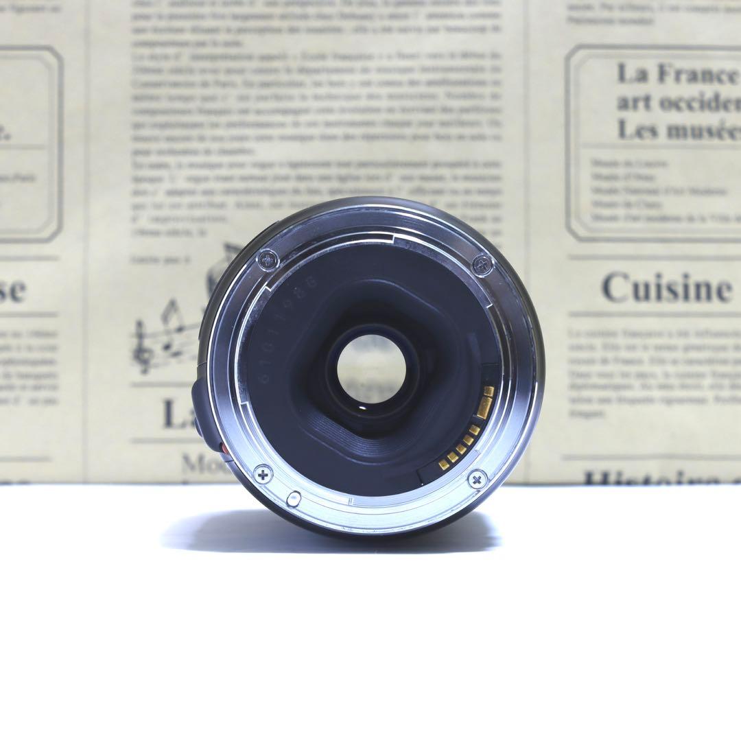 ◇レンズフィルター&フード付&高速AF◇美品 Canon純正 超望遠300mm◇