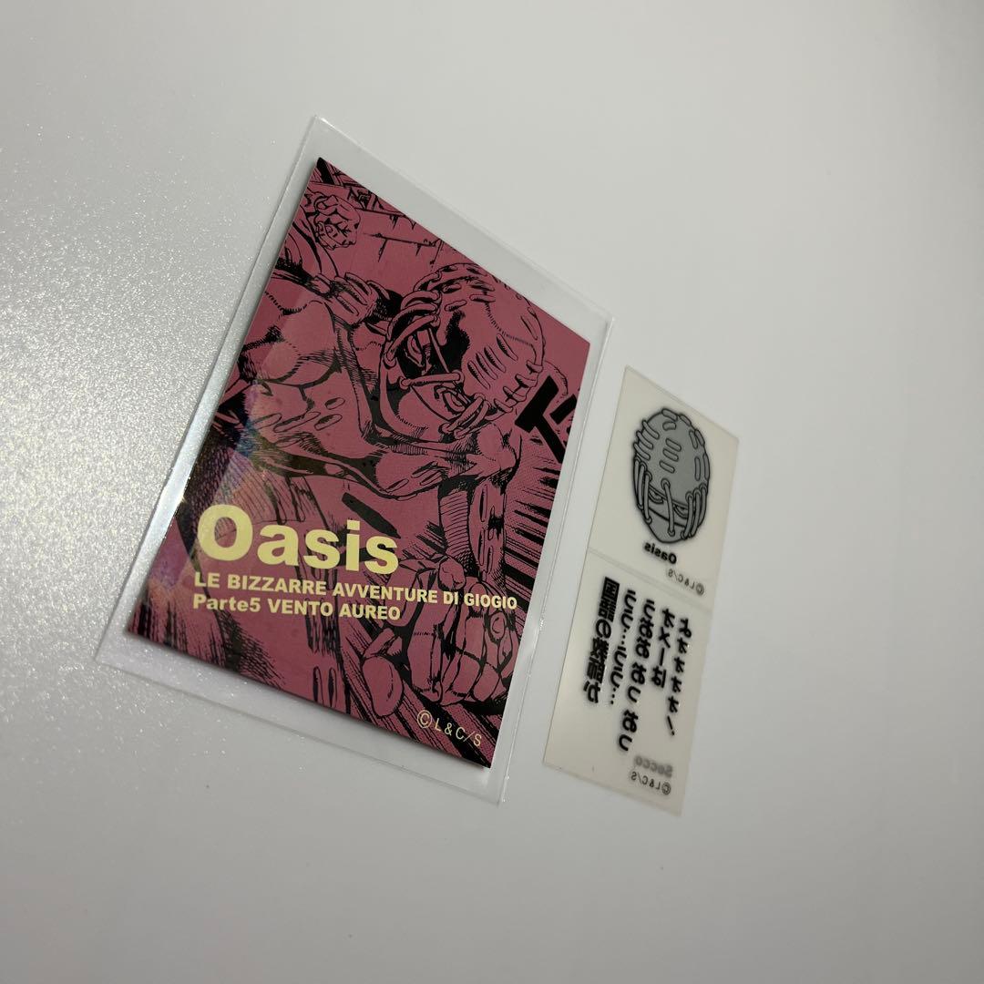 ジョジョの奇妙な冒険　リアルペイントシート リ セッコ オアシス