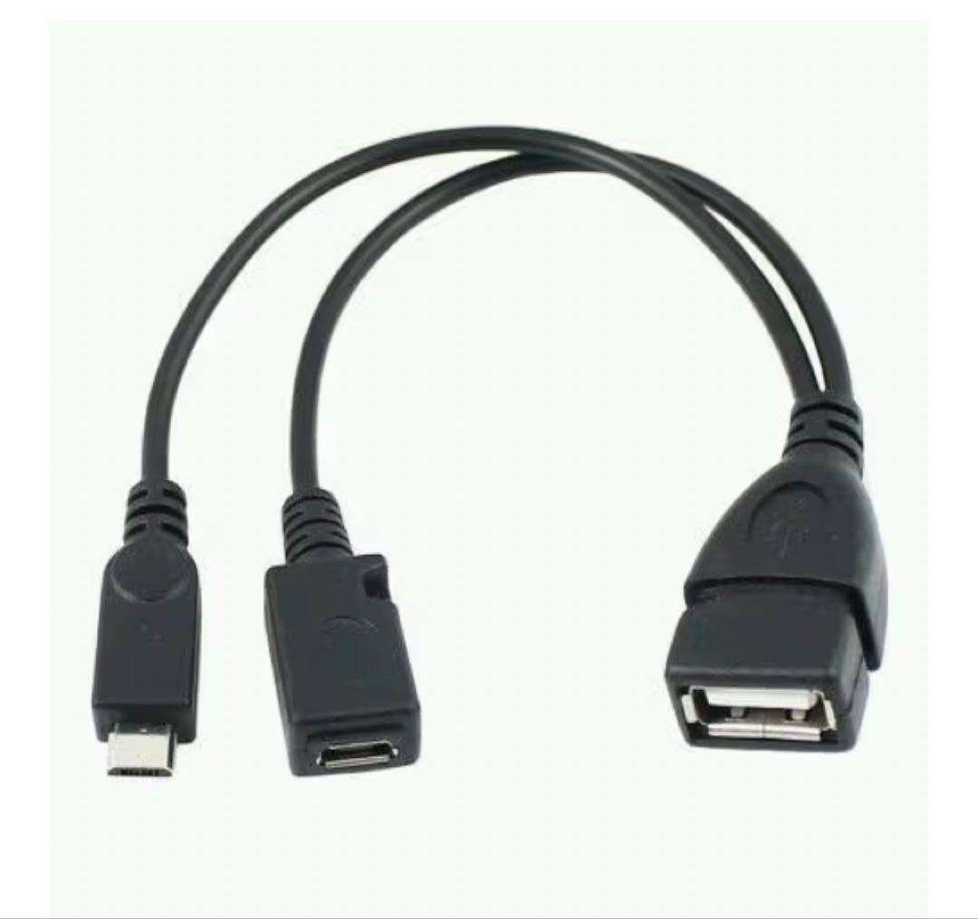 Fire TV Stick 4K Max（第2世代）とotg ケーブル