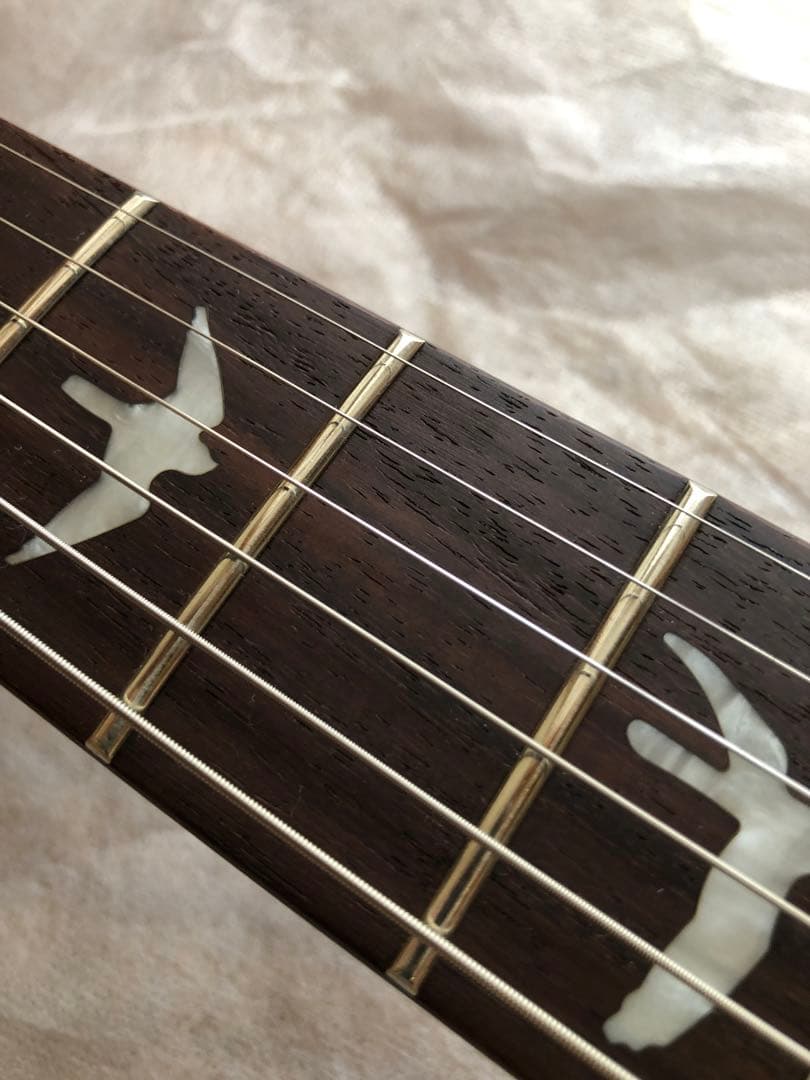 パパピピ【希少】PRS SE 245 Soapbar P-90 タイプ