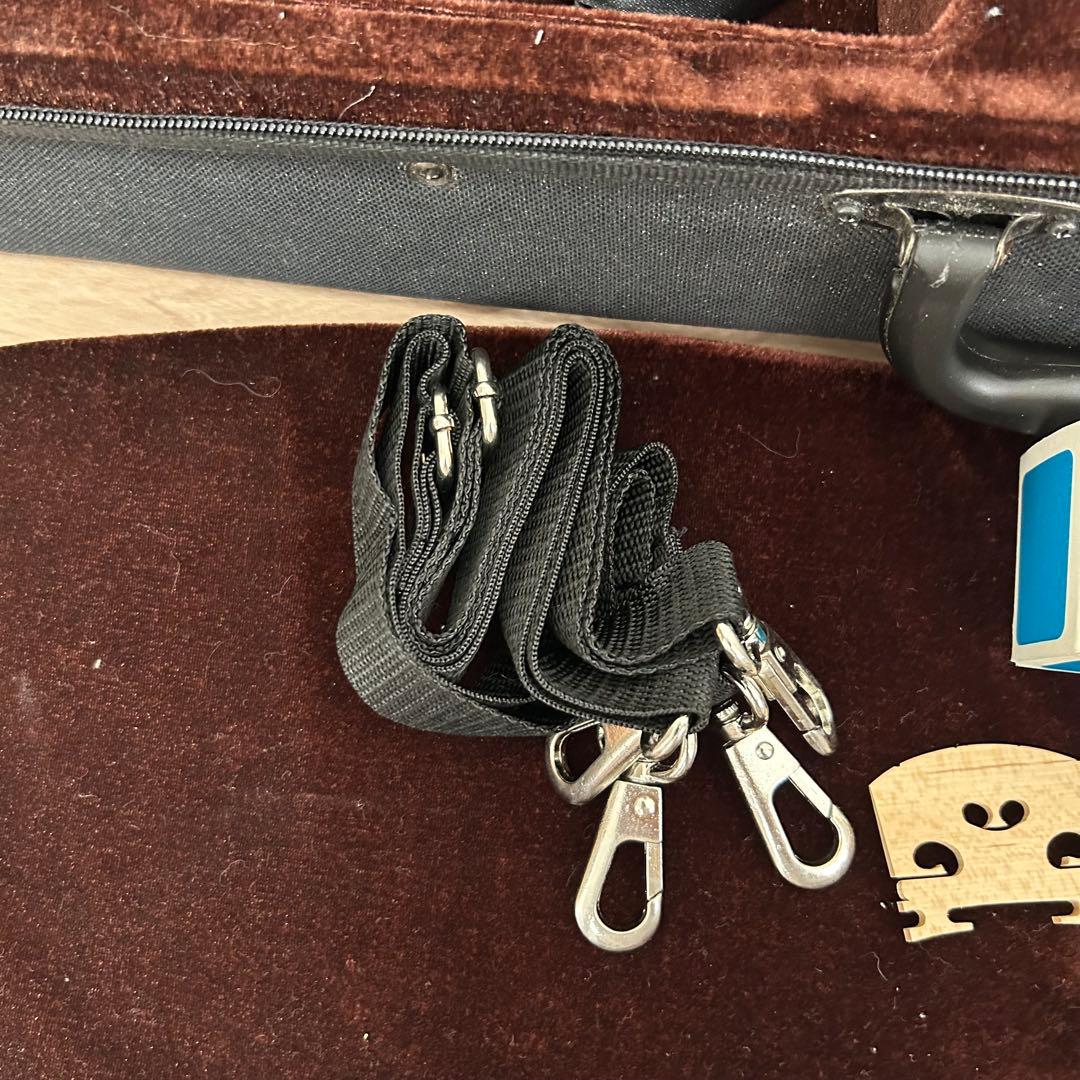 極美品Carlo Giordano VS-1 4/4カルロジョルダーノバイオリン