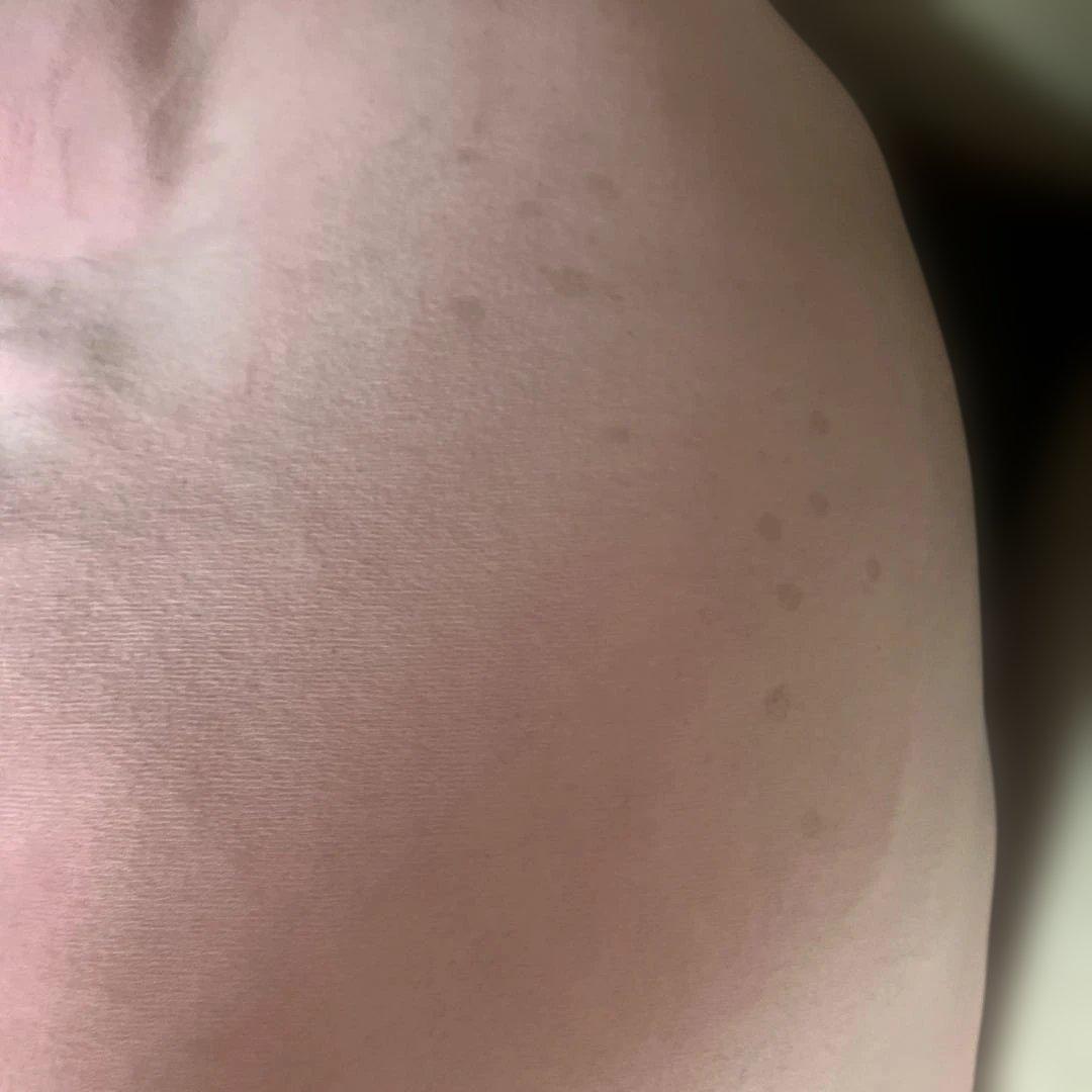 メタモン超ビックサイズもっちりぬいぐるみポケモンポケモンセンター2016