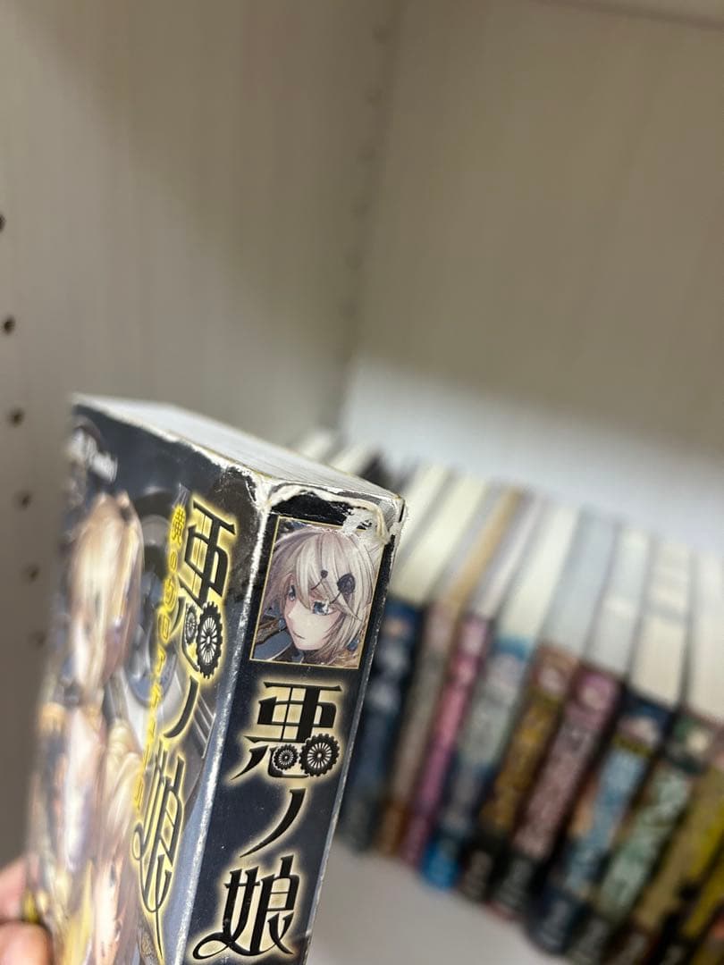 悪ノ娘、悪ノ大罪シリーズ小説、七つの罪と罰(初回限定版)＋その他