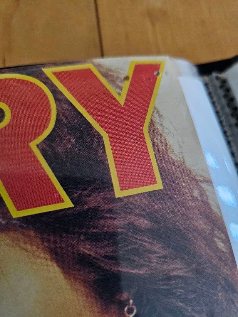 JUDY AND MARY 小さな頃から 自転車 告知ポスター