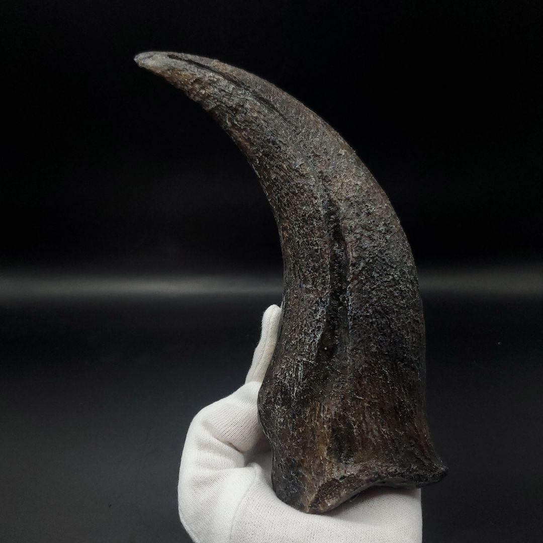 スピノサウルス 爪 レプリカ 184.08mm spr5
