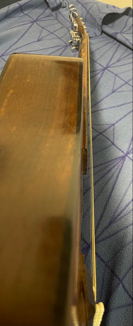 フォークギター HOTAKA301