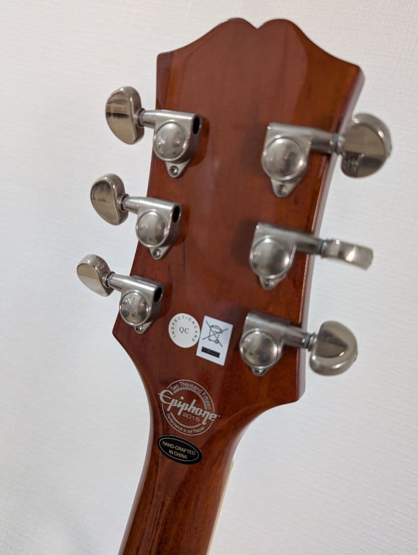 【美品・動作良好】エピフォン ワイルドキャット WILDKAT STUDIO