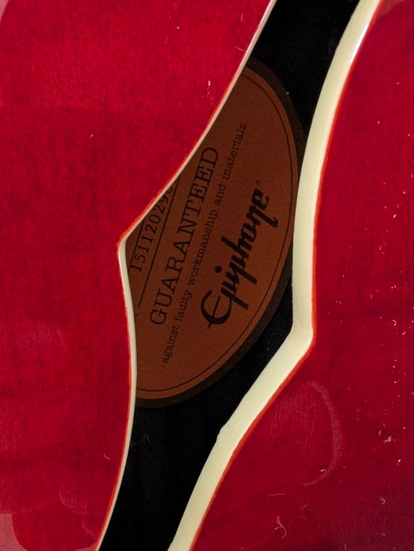 【美品・動作良好】エピフォン ワイルドキャット WILDKAT STUDIO