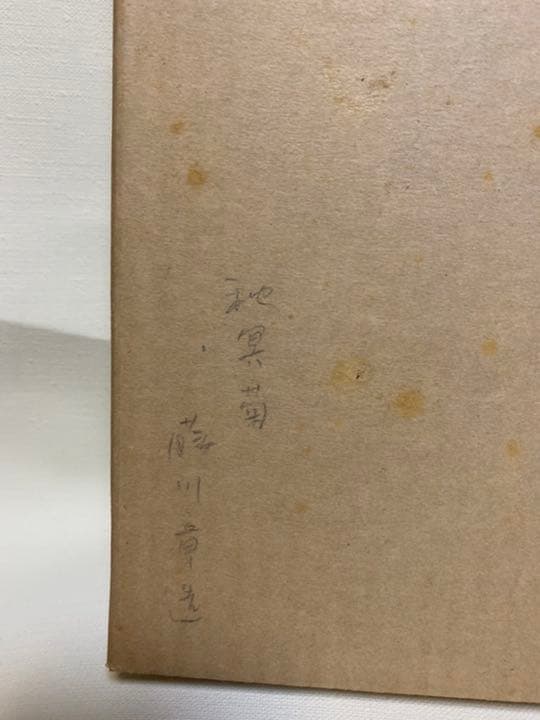 秋瞑菊　色紙画