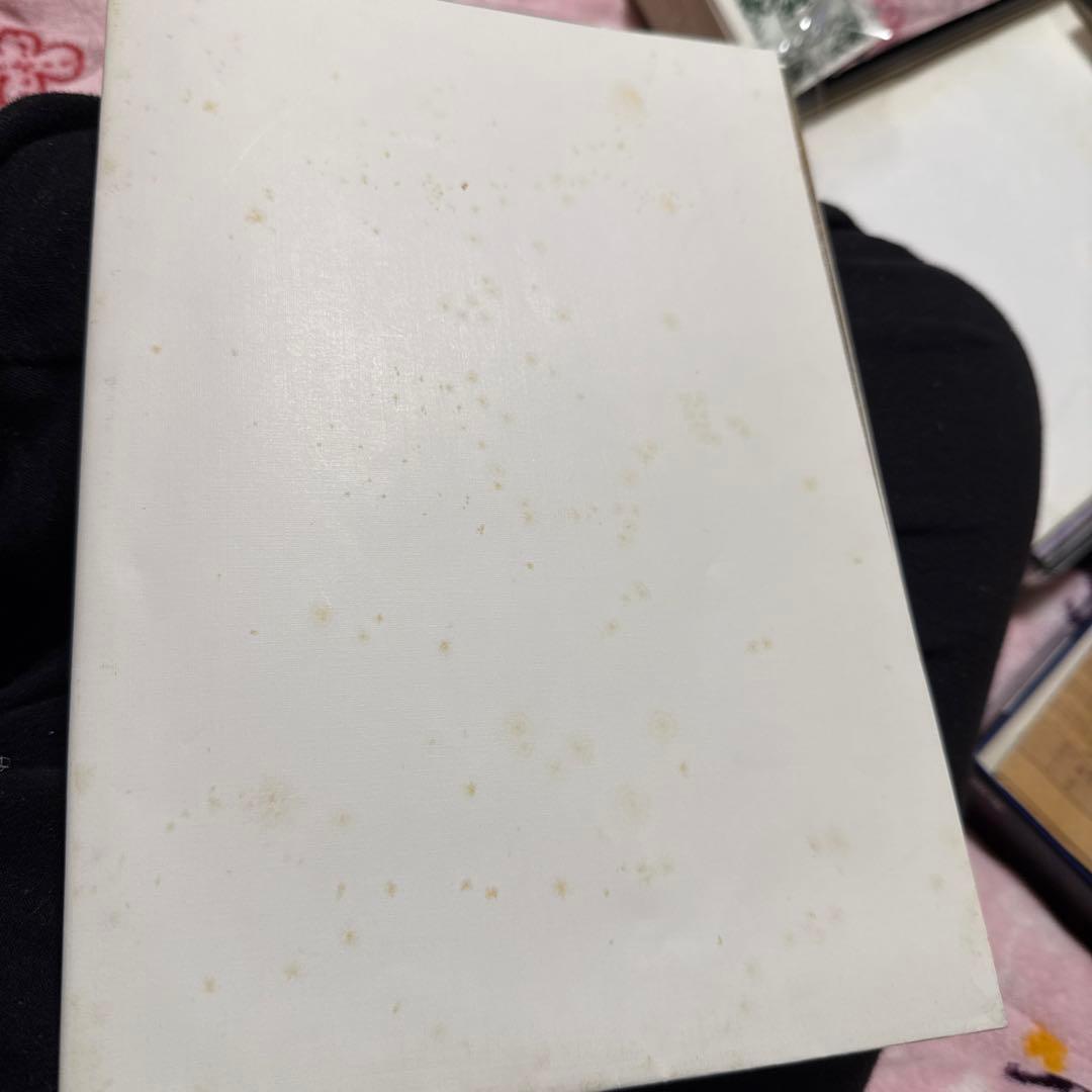 超希少 ブランディッシュ2 縦長ポスター