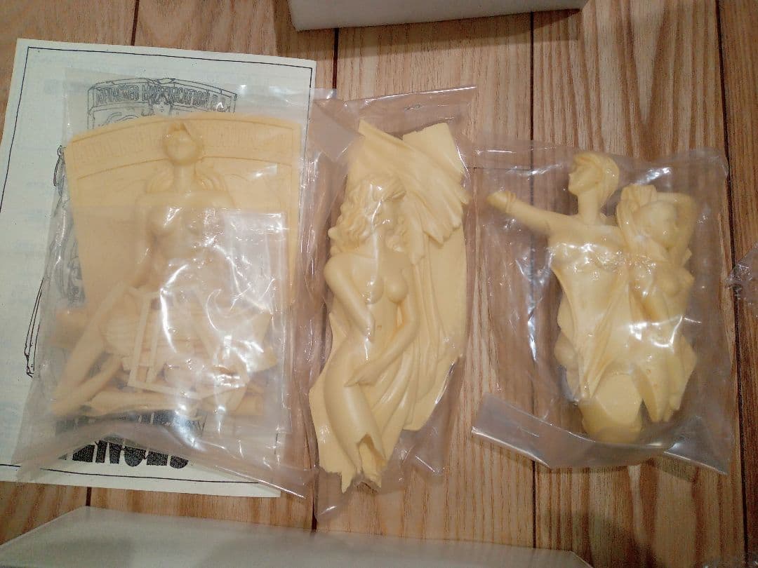 サイレントメビウス　ガレージキット　レジンキット　ワンフェス