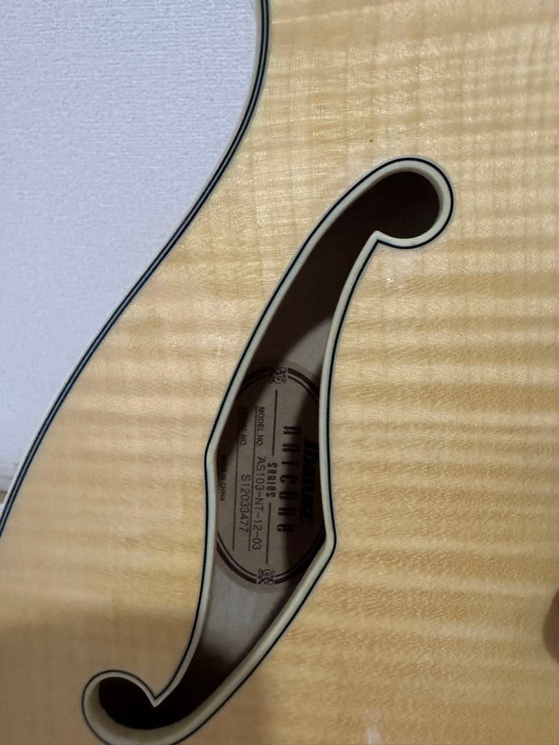 アイバニーズ製セミアコ