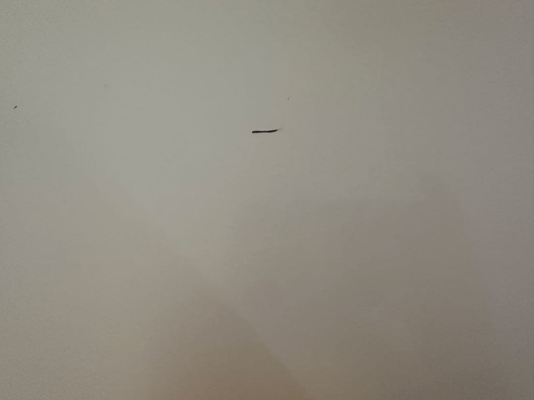 【Kate様】【USM Haller】USMハラー/TVボード/ローボード