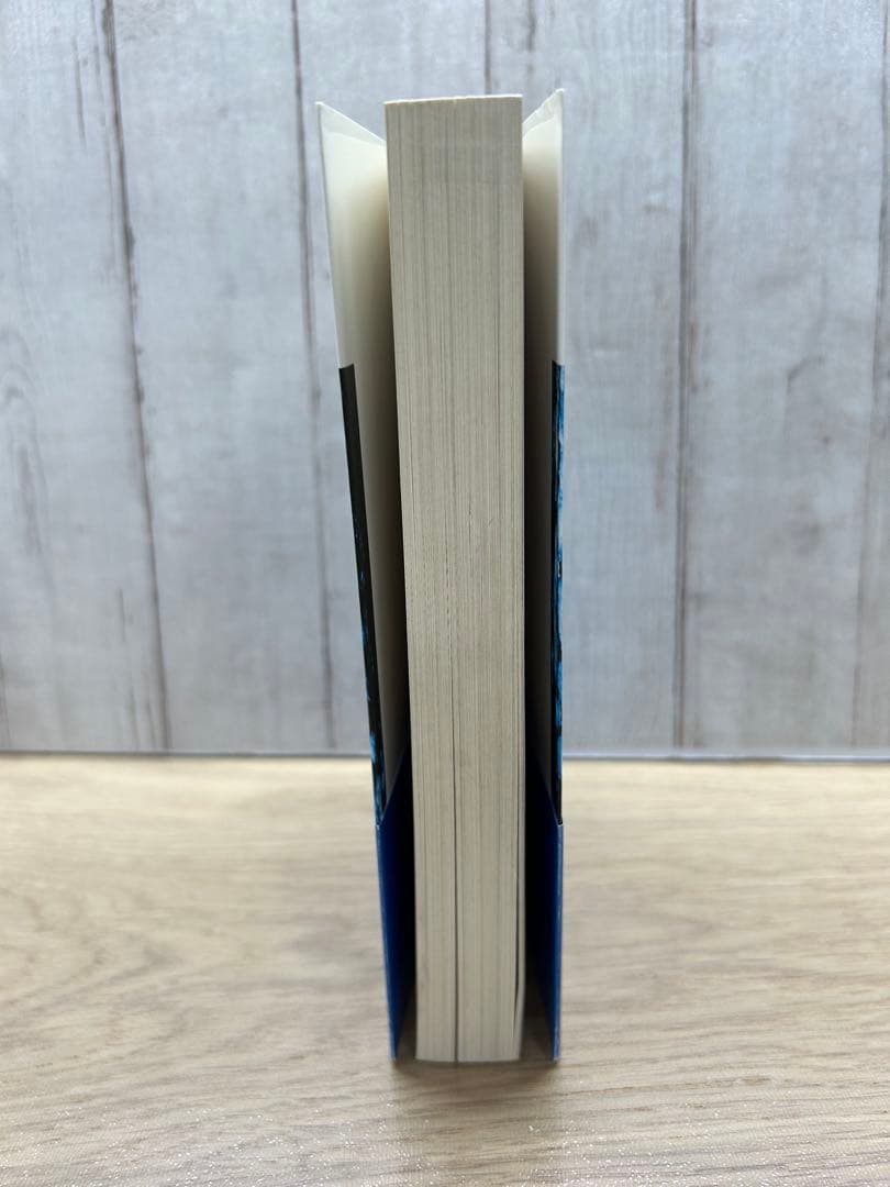 Spiritual Energy 政木 和三