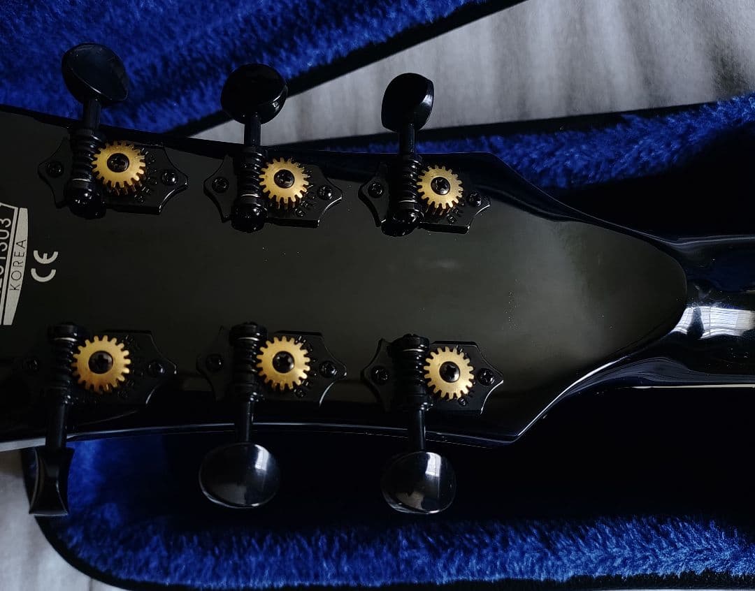 VOX Bobcat V90 Black ハードケース付き