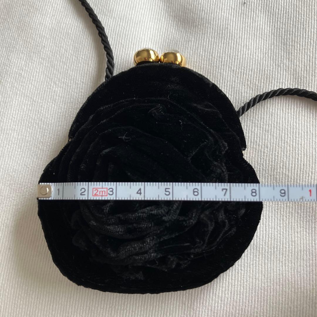 専用　ボッテガ　　パーティーバッグ