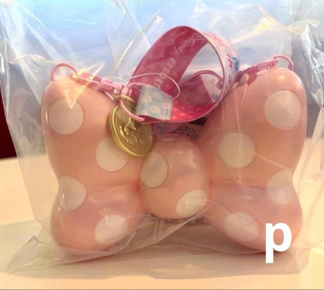 ディズニー　パルパルーザ　ミニー　ファンダーランド　スーベニア4点