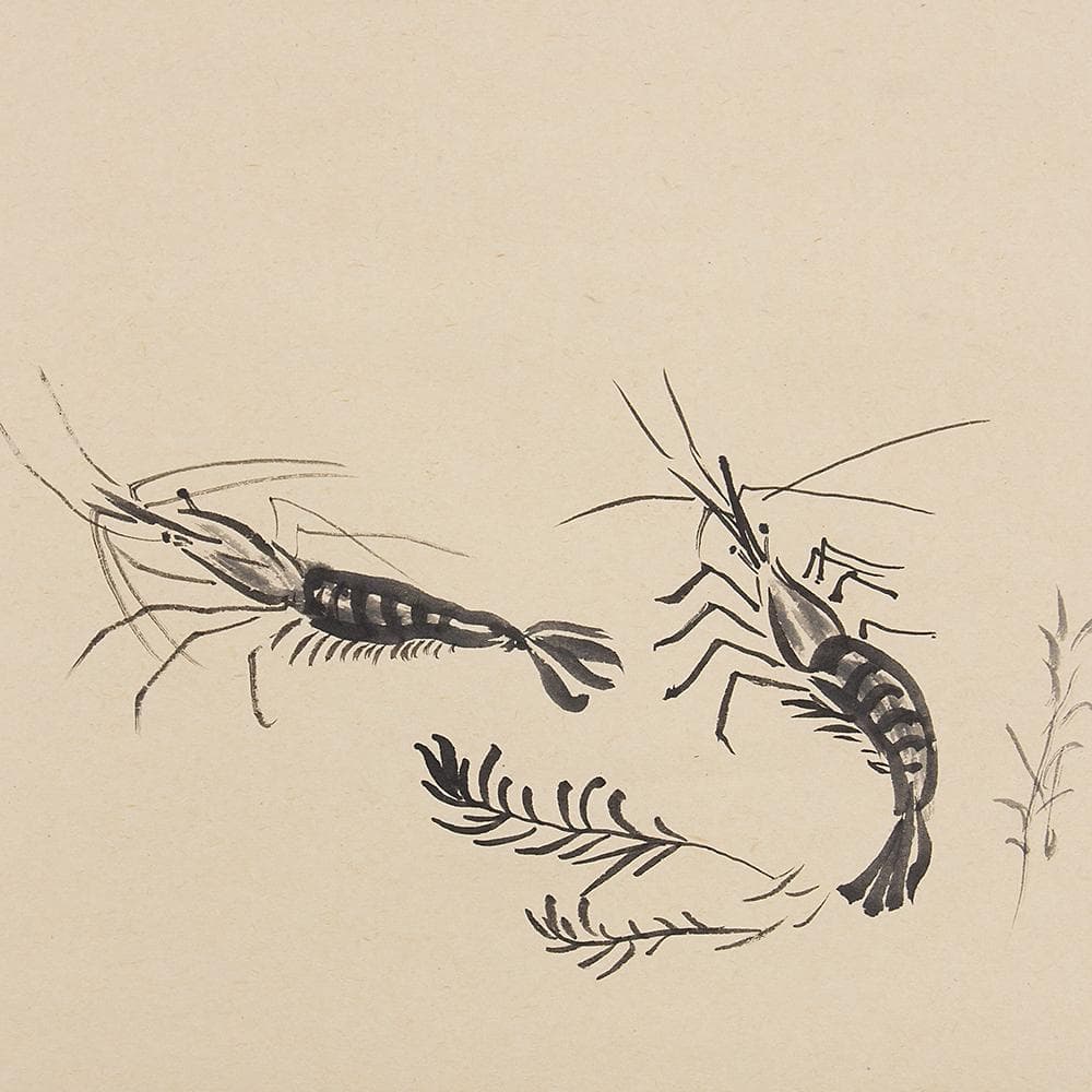 掛軸 茶掛け 横幅 画賛 有馬頼底「海老 喜栄」臨済宗相国寺派管長 金閣寺銀閣寺