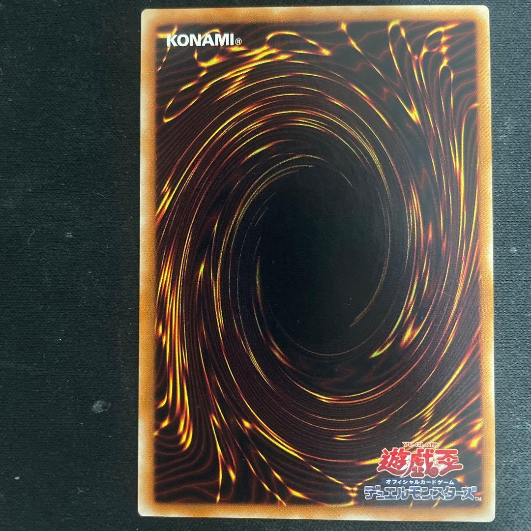 取引希望額下さい 真紅眼の黒竜 リボルバードラゴン ブラックパラディン レリーフ