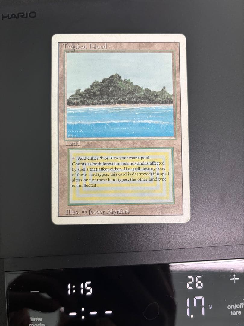 祐*本様 Tropical  マジック：ザ・ギャザリング　デュアルラ
